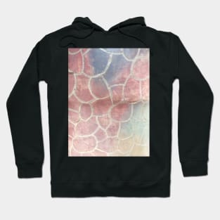 Coloful Scales Mosaics Hoodie